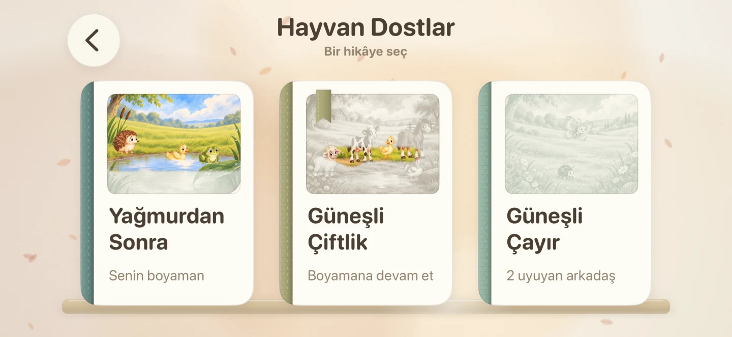Water Magic Hayvan Dostlar kitaplığında çocuğun bitmiş gölet boyamasını gösteren kişisel hikâye kapağı